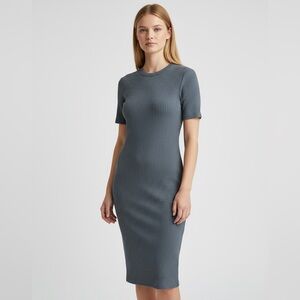 American Giant | Blue Ribbed Stretch Short Sleeve Dress